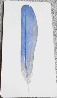Divine Feather Messenger